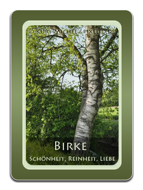 Birke