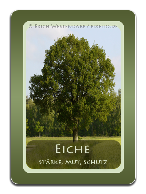 Eiche